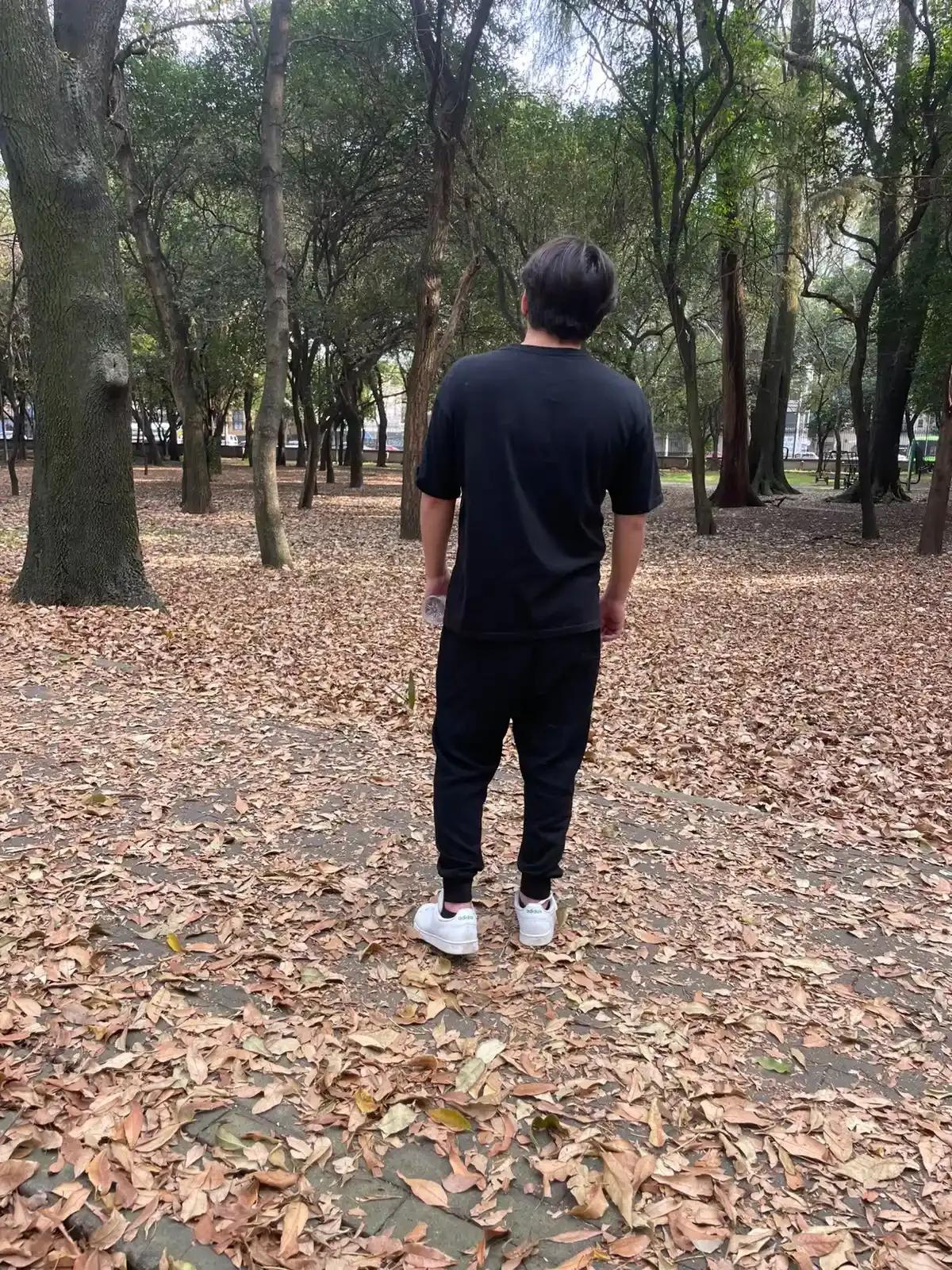 Imagen de Diego Peralta